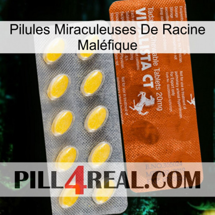 Pilules Miraculeuses De Racine Maléfique 42